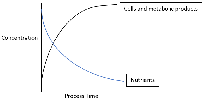 batch process concentration of nutrients to cells over time of fermentation